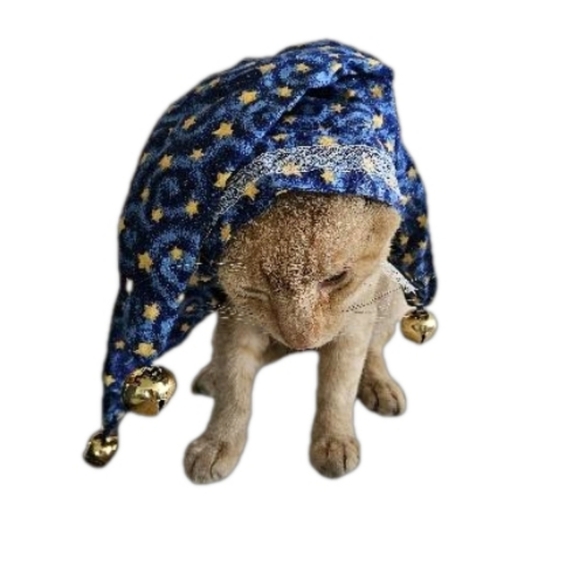 Hand Crafted Pet Witch Hat Funny Halloween Costume Cats Dogs Handmade Festive XL - Picture 9 of 17